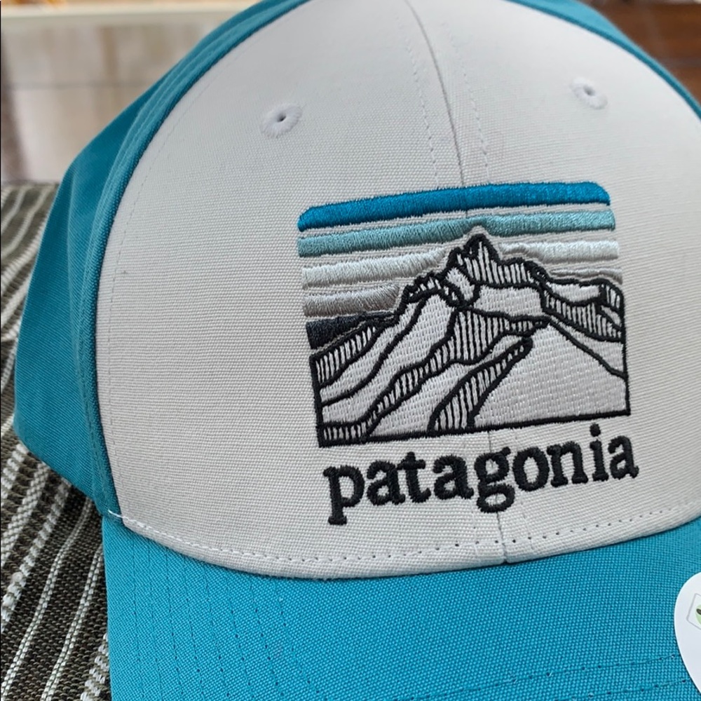Patagonia Line Logo Ridge Roger That Trucker Hat - Picture 4 of 8